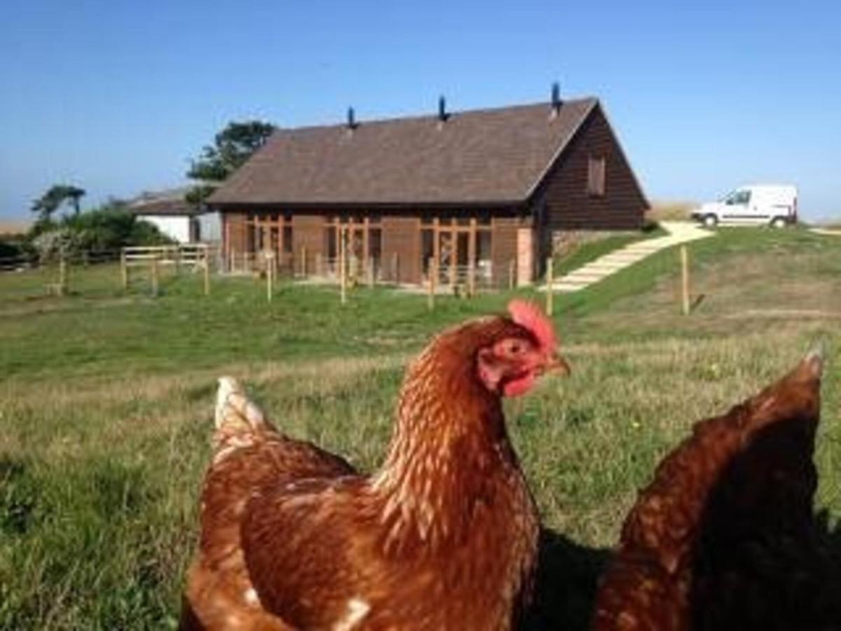 Poachers Hut - Captivating 1-Bed Cottage Shorwell מראה חיצוני תמונה