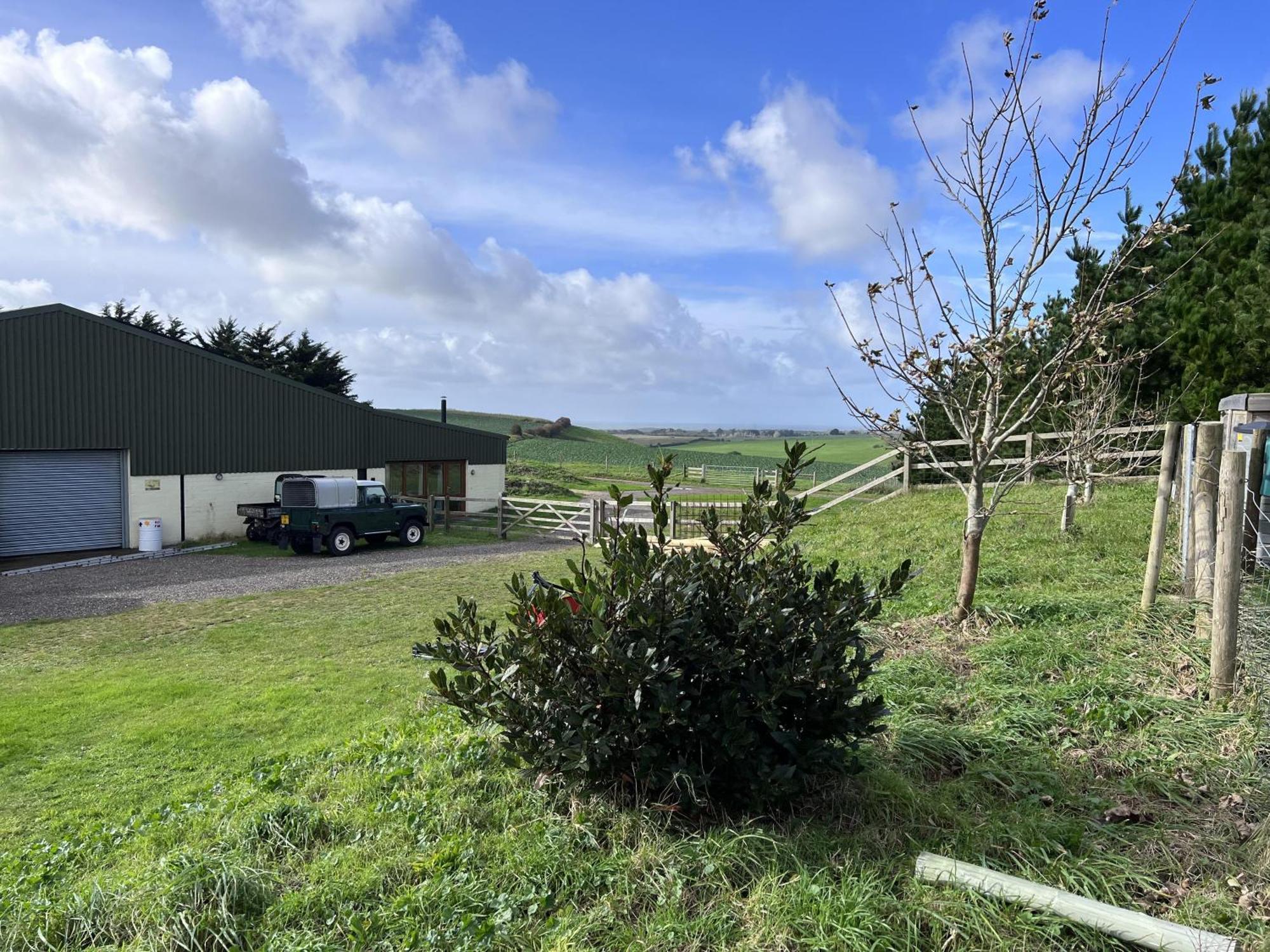 Poachers Hut - Captivating 1-Bed Cottage Shorwell מראה חיצוני תמונה